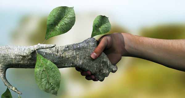 دانلود پاورپوینت محیط زیست